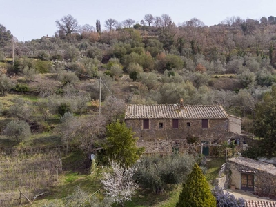 Rustico casale in vendita a Montalcino Siena