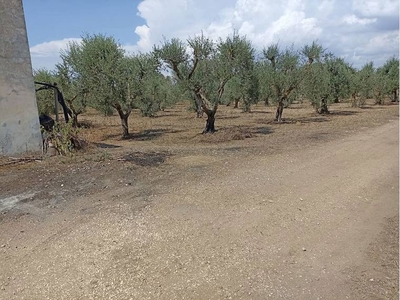 Terreno in vendita a Maruggio, contrada chiani, snc - Maruggio, TA