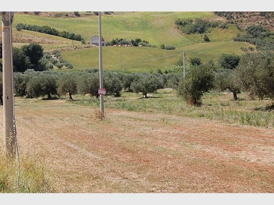 Terreno in vendita a Pineto, via Nazionale - Pineto, TE