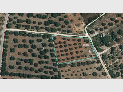 Terreno non edificabile in vendita a Manduria, SP134, SNC - Manduria, TA