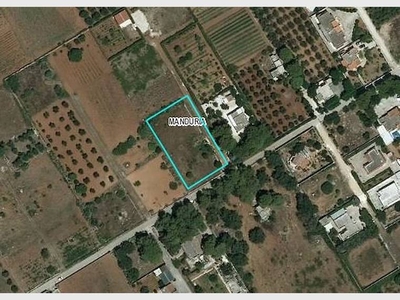 Terreno non edificabile in vendita a Manduria, Via Tamora , snc - San Pietro In Bevagna (Manduria - TA)