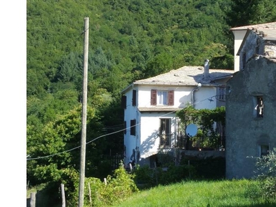 Casa indipendente in affitto a Borzonasca