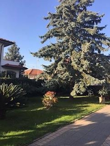 Villa in vendita a Castelnuovo Magra La Spezia Molicciara