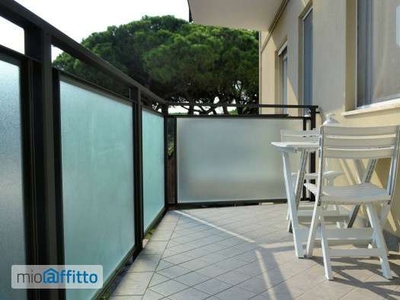 Appartamento arredato con terrazzo Milano marittima