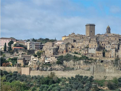 Vendita Palazzina Civitella d'Agliano