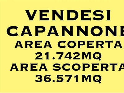 capannone in Vendita ad Faenza