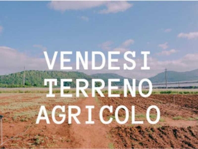Terreno in Vendita ad Vedelago - 270000 Euro