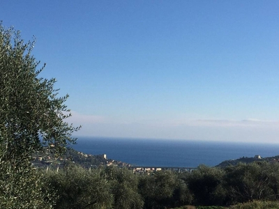 Casa a Imperia con terrazza, giardino e piscina