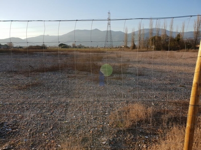 terreno agricolo in vendita a Calcinaia