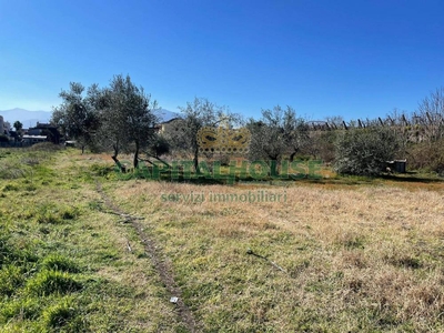 terreno agricolo in vendita a Terzigno