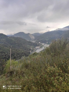 terreno agricolo in vendita a Ventimiglia