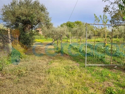 Terreno agricolo in vendita a Casal Velino