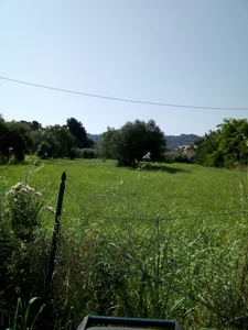 Terreno in affitto in via volga 1, Montesilvano