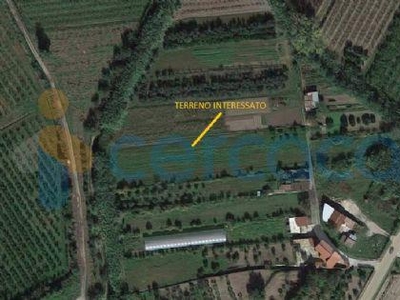 Annesso Agricolo in vendita a Sessa Aurunca