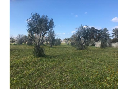 Terreno Agricolo/Coltura in vendita a Melendugno, Frazione Borgagne, Via Otranto 200