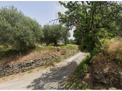 Terreno Agricolo/Coltura in vendita a Serravalle Pistoiese, Frazione Ponte Stella, Via Collina di Vinacciano 18
