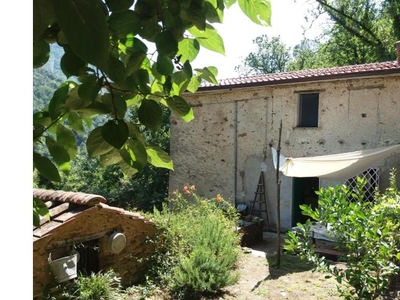 Rustico/Casale in vendita a Seravezza, Via Colle 518