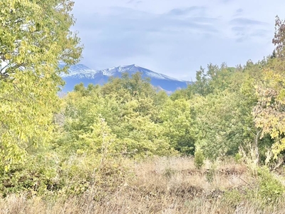 Vendita Terreno agricolo, BELPASSO