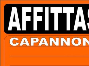 Capannone in Affitto ad Spinea