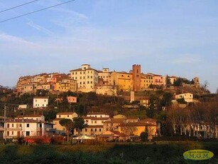 Locale comm.le/Fondo in affitto a Montecalvoli Basso - Santa Maria a Monte