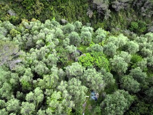 Terreno Agricolo in vendita in corso cuneo 42, Ventimiglia