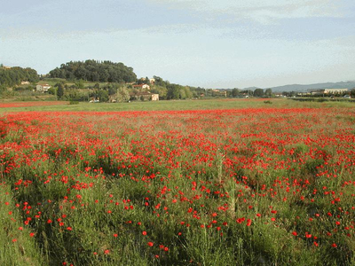 Vendita Villa Peccioli