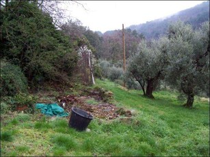 Agriturismo in vendita a Monsummano Terme