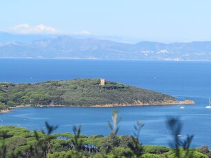 Attico in affitto a Castiglione della Pescaia - Zona: Punta Ala