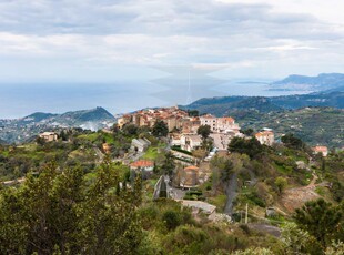 Fondo commerciale in affitto Imperia