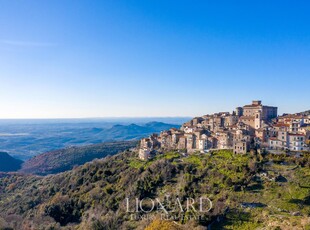 Prestigioso castello di lusso con vista panoramica in vendita vicino a Roma