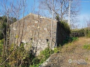 Terreno 4,2 ettari a Giarre