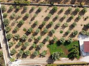 Terreno Agricolo a Siracusa