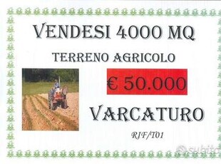 Terreno agricolo di 4000 mq a Varcaturo