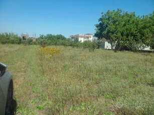 Terreno agricolo di 6.300 mq fronte strada