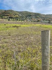 Terreno agricolo edificabile