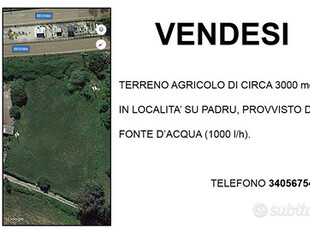 Terreno Agricolo Sedilo