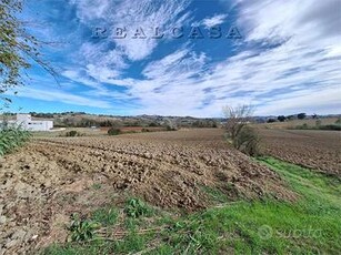 Terreno Edificabile a Polverigi