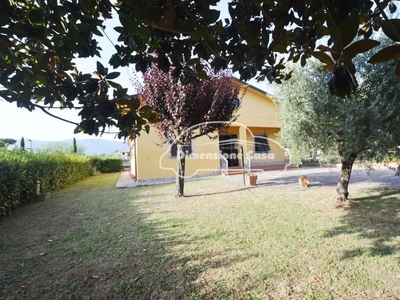 Villa con giardino, Porcari forabosco