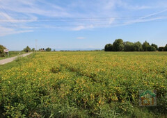 terreno residenziale in vendita a Cervignano del Friuli