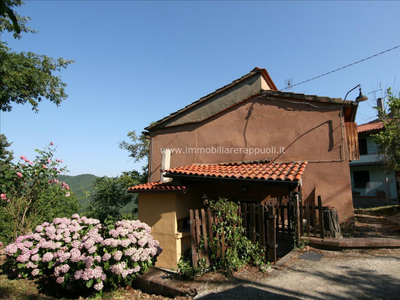 rustico / casale in vendita a Arezzo