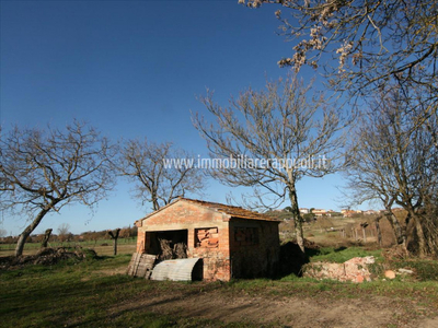 rustico / casale in vendita a Foiano della Chiana