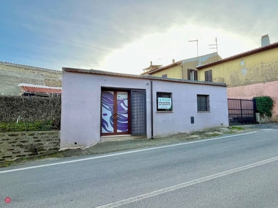 Negozio/Locale commerciale in Vendita in Via Oriolo Romano a Manziana