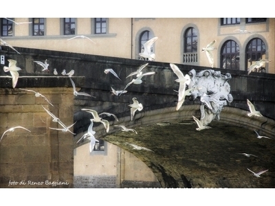 Negozio in affitto, Firenze piazza del duomo-piazza della signoria