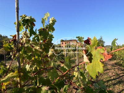 Rustico con giardino a Montecarlo