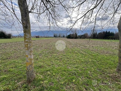 TER. AGRICOLO A MONTESARCHIO