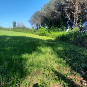 Terreno agricolo in Vendita in Via flaminia 1761 a Roma