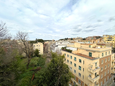 Appartamento con terrazzo, Roma parioli