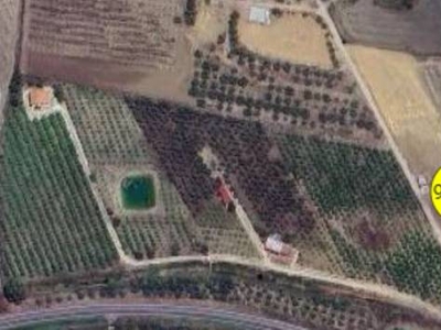 Terreno Agricolo in vendita a Belpasso contrada Agnelleria