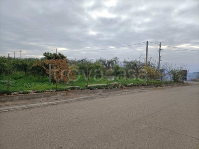 Terreno Agricolo in vendita a Belpasso sp 77, sn