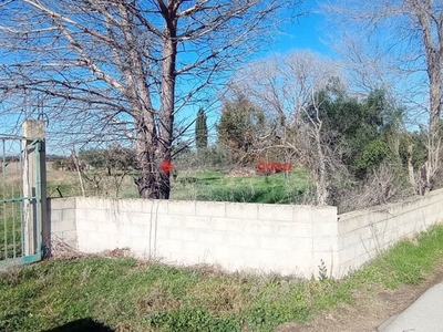Terreno agricolo in Vendita a Foggia, 65'000€, 14000 m²
